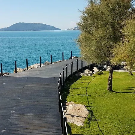 Alla Marina Lerici