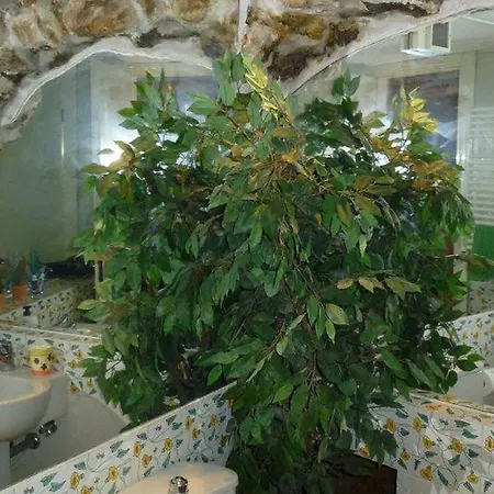 Apartment Alla Marina *